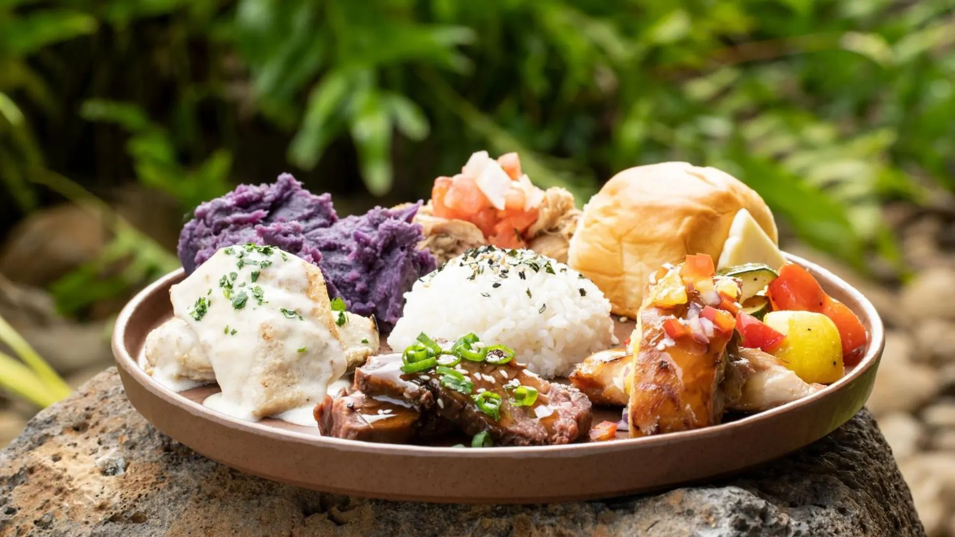 酒店 考艾岛椰子海滩喜来登度假村 Kauai