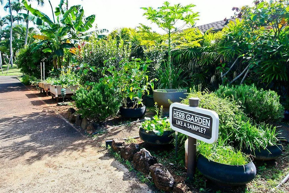 Pono Kai Resort By Bluegreen Hotel