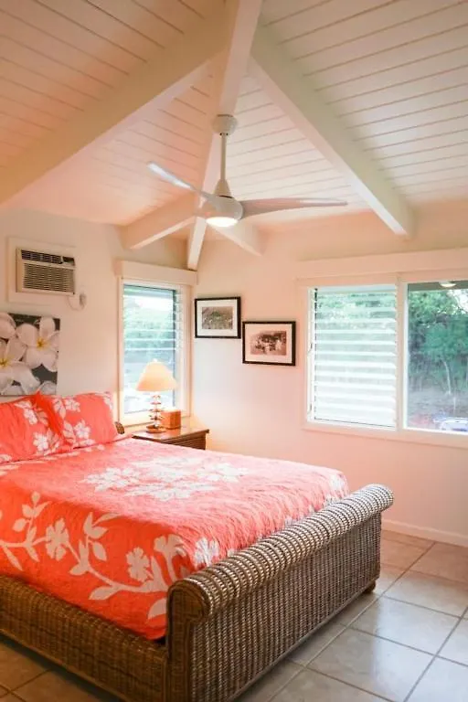 Hale Kipa | Perched On The Bluffs Holiday home Kauai