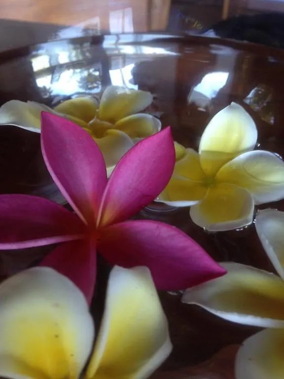 Mahina Kai Ocean Guest house Kauai