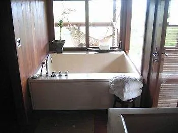 O'luina 4*
