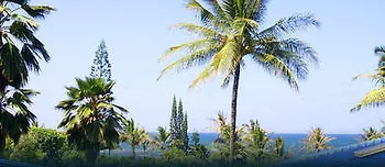 Mahina Kai Ocean Guest house 5*
